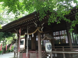 弥生神社 本殿