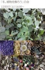 「冬、植物を飾ろう」の会