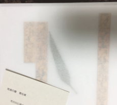 ヒエログリフとユーカリの葉